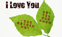 ĸHYף